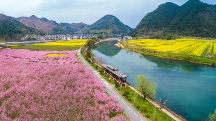 金溪桃韵景区