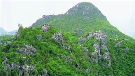 三衢石林风景区